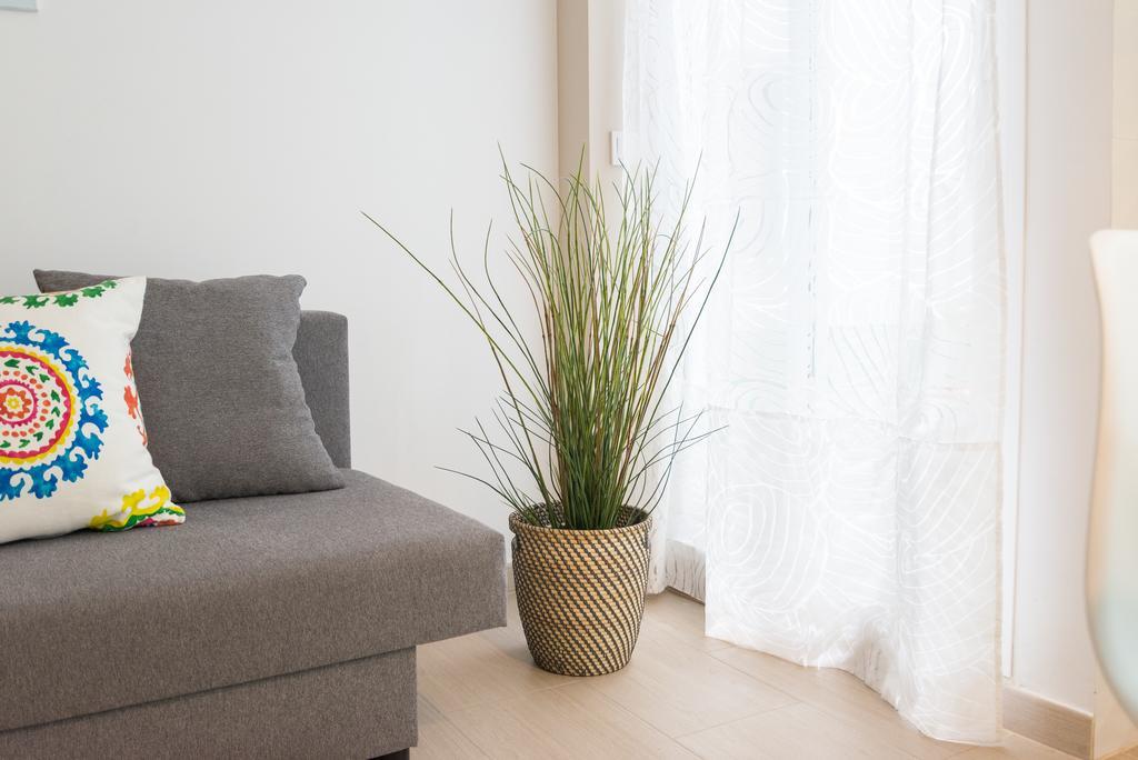 Pena Center Appartement *